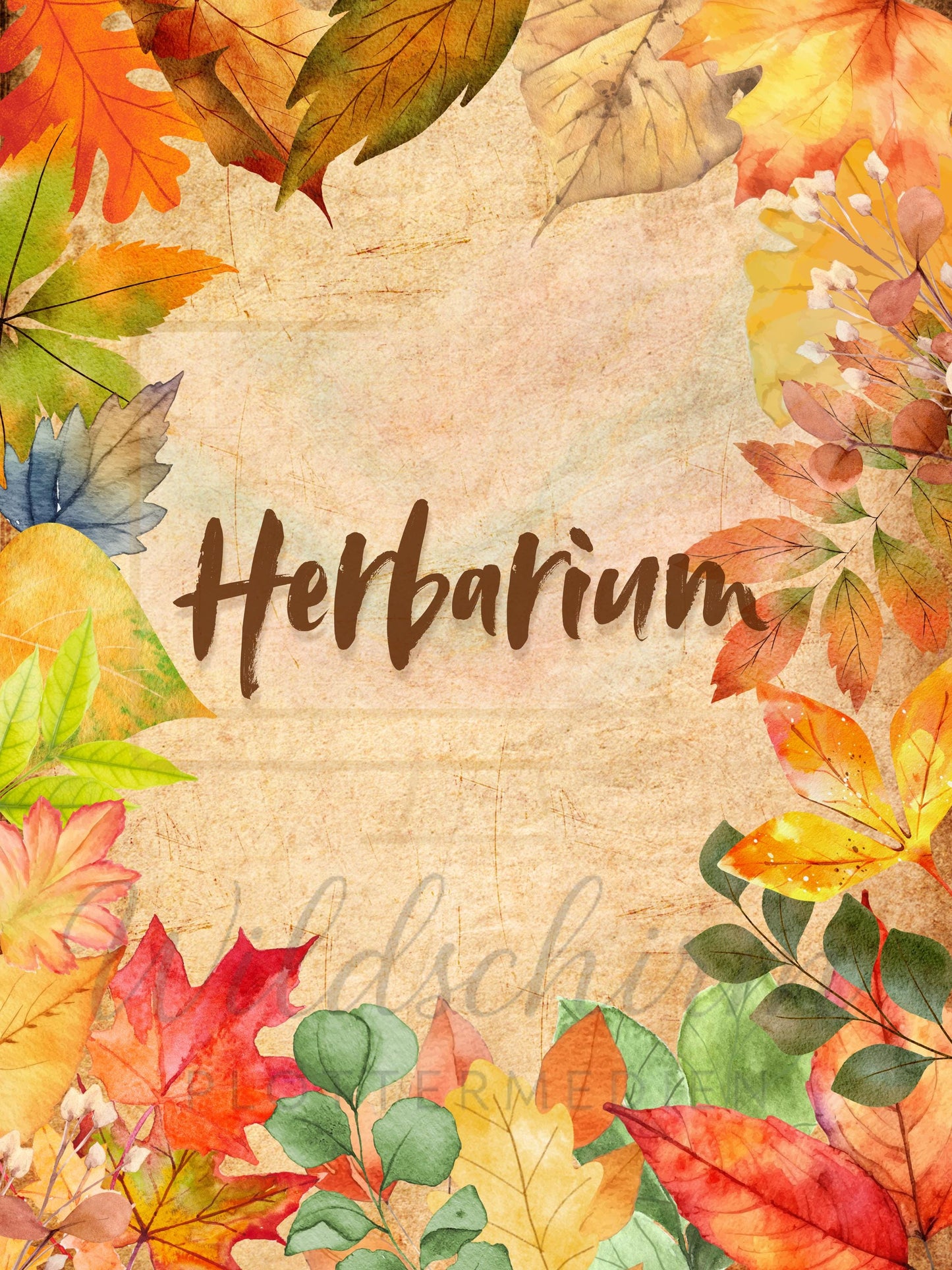 Herbarium Autumn| A4 Druckvorlage Prints | Herbarium Mappe Set | Botanical Journal PDF