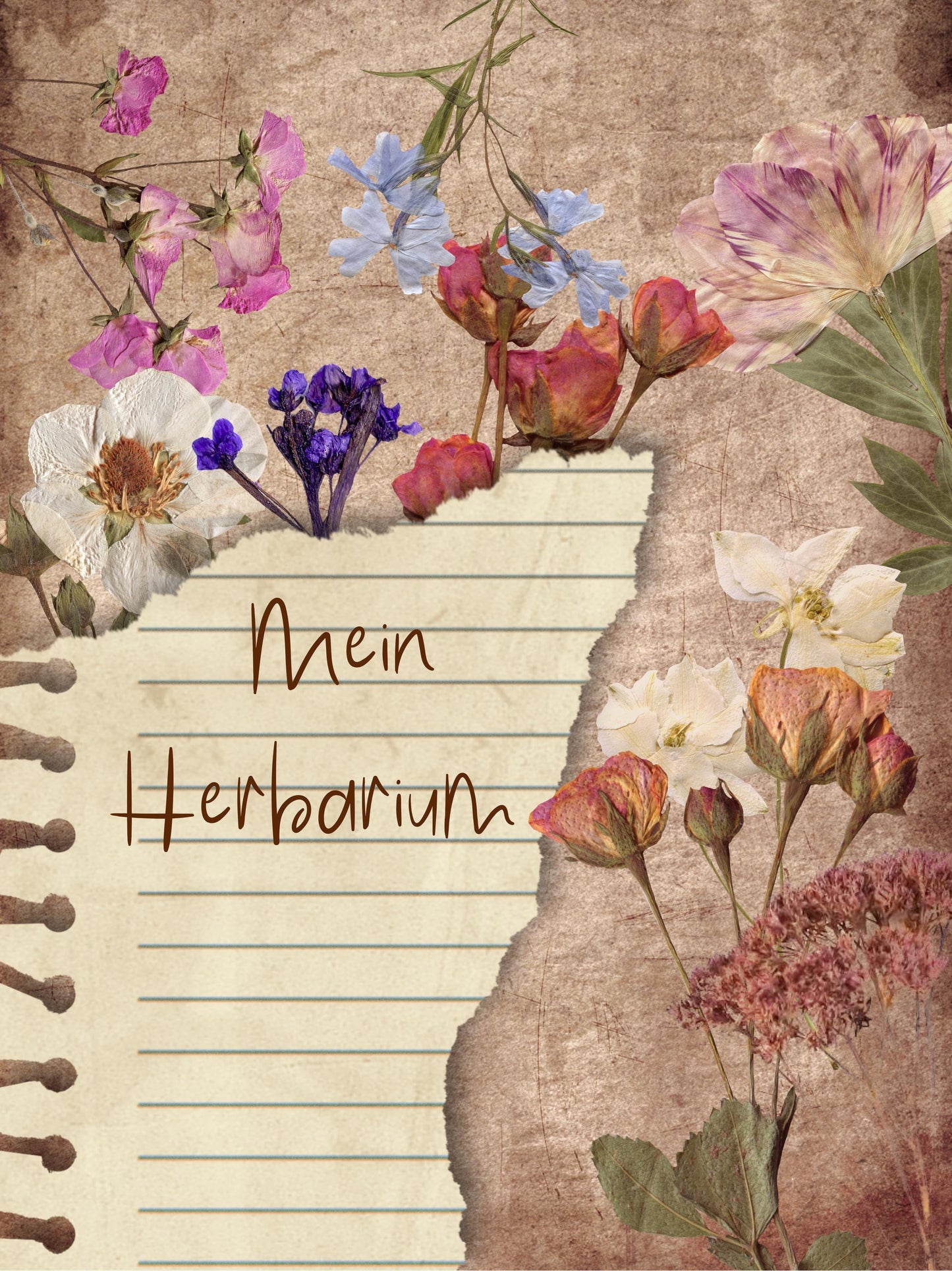 Vintage Herbarium Vorlage | A4 Druckvorlage Print 3 Seiten | Nostalgisches nostalgic Botanical Journal PDF