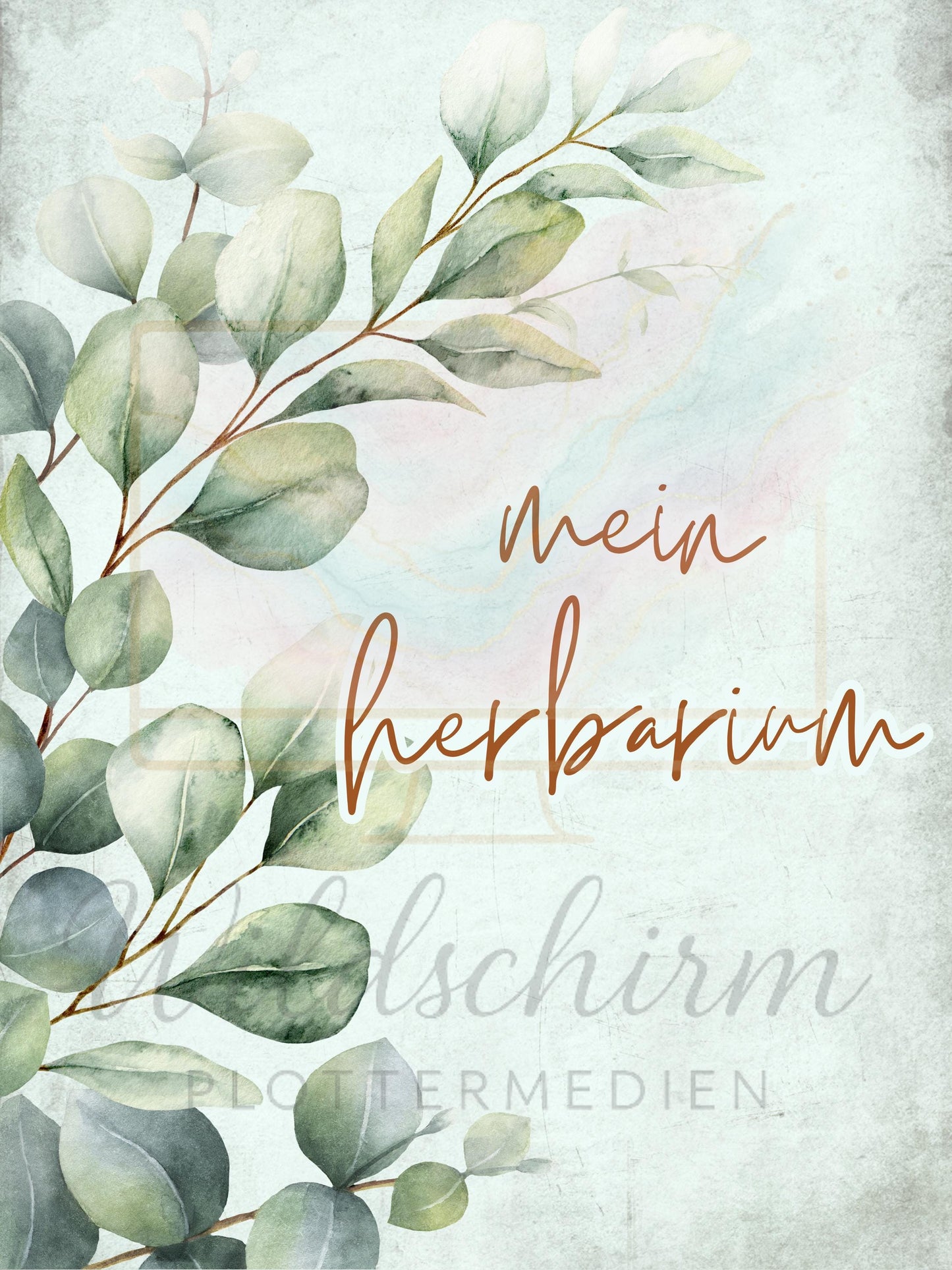 Herbarium Vorlage Eukalyptus | A4 Druckvorlage Print Design 3 Seiten | Mein Herbarium My Herbarium PDF