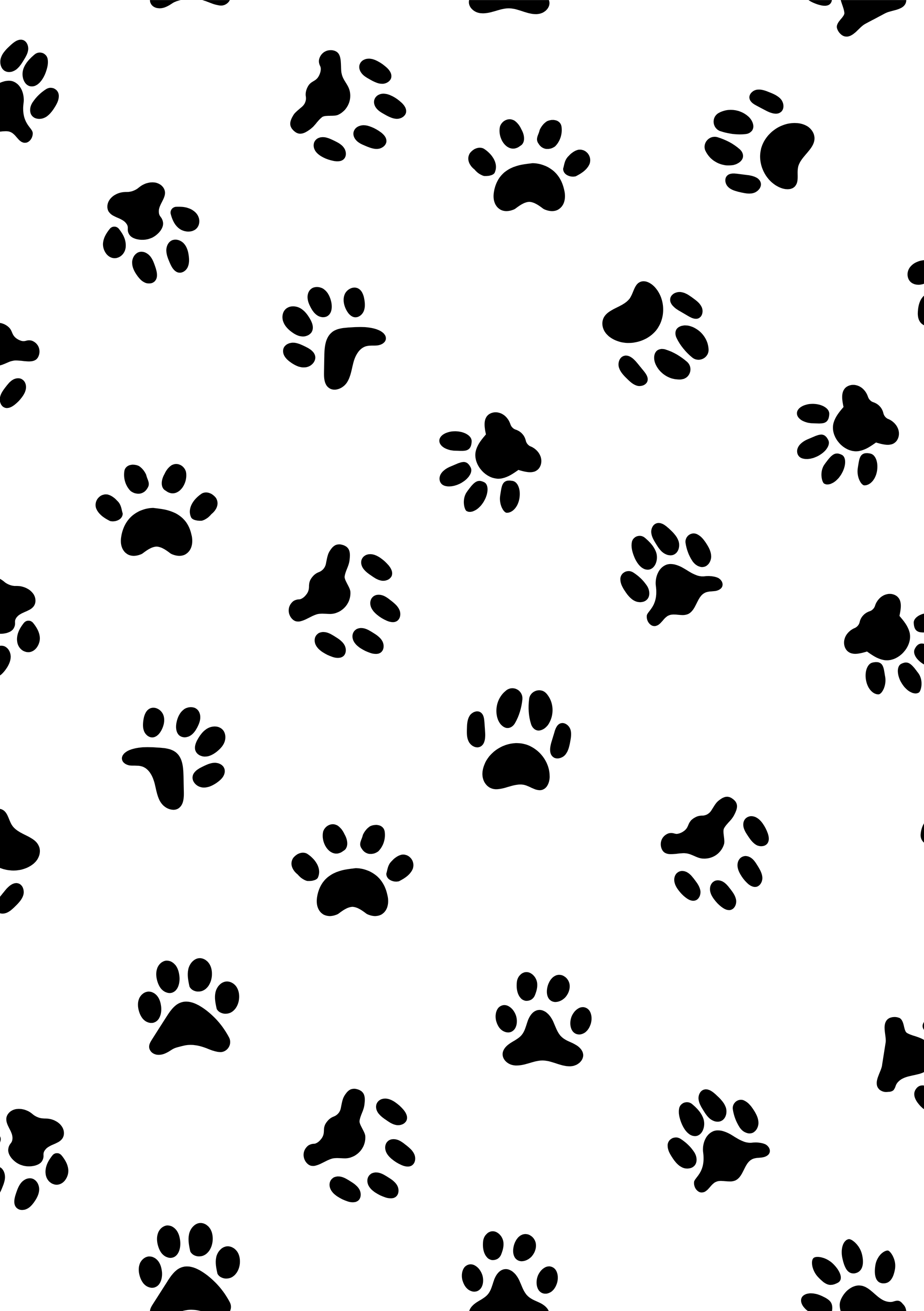 zu sehen sind viele verschiedene pfotenabdrücke, welche alle durcheinander angeordnet sind 