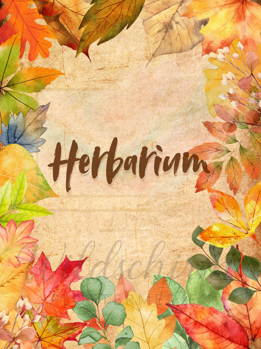 Herbarium Autumn| A4 Druckvorlage Prints | Herbarium Mappe Set | Botanical Journal PDF