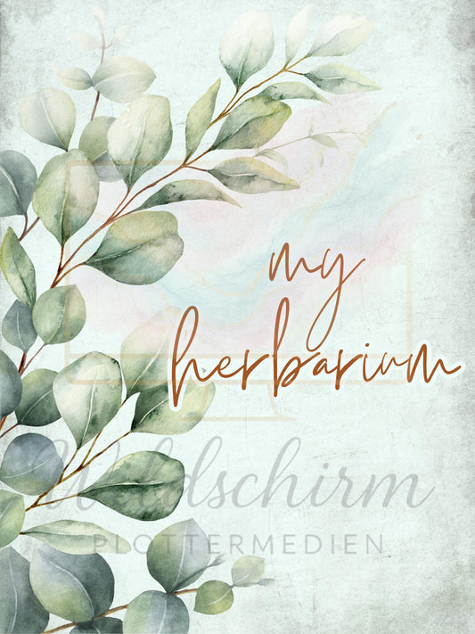 Herbarium Vorlage Eukalyptus | A4 Druckvorlage Print Design 3 Seiten | Mein Herbarium My Herbarium PDF