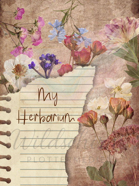 Vintage Herbarium Vorlage | A4 Druckvorlage Print 3 Seiten | Nostalgisches nostalgic Botanical Journal PDF