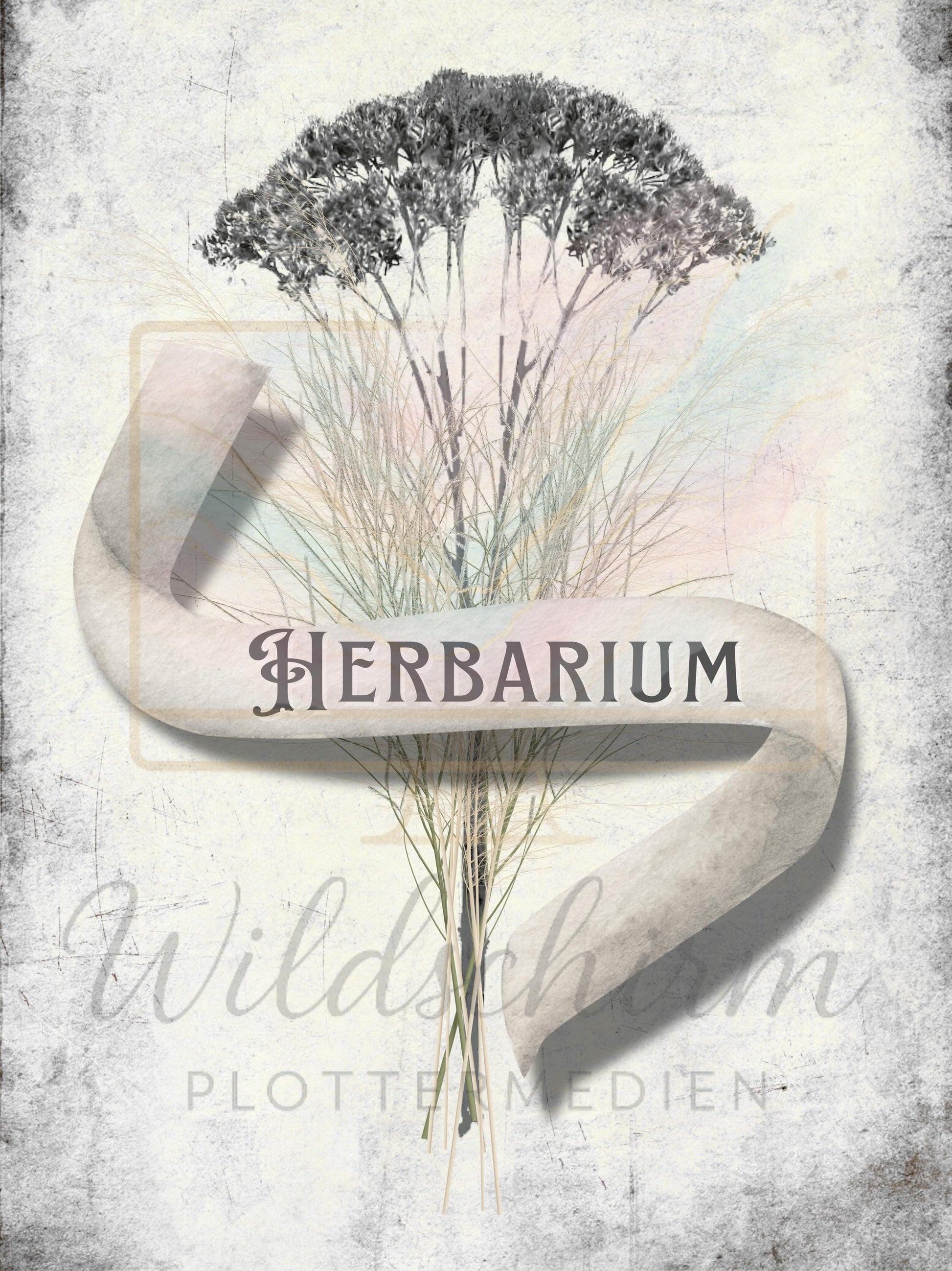 Antique Herbarium Vorlage | A4 Druckvorlage Print 3 Seiten | Botanisches Journal PDF | Vintage Botanical Pages