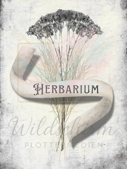 Antique Herbarium Vorlage | A4 Druckvorlage Print 3 Seiten | Botanisches Journal PDF | Vintage Botanical Pages