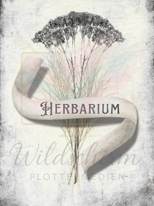 Antique Herbarium Vorlage | A4 Druckvorlage Print 3 Seiten | Botanisches Journal PDF | Vintage Botanical Pages